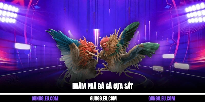 Khám phá đá gà cựa sắt