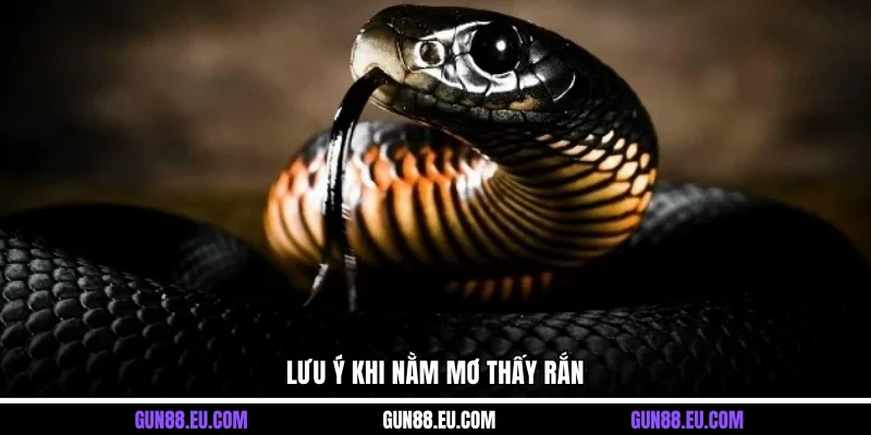 Lưu ý khi nằm mơ thấy rắn&nbsp;