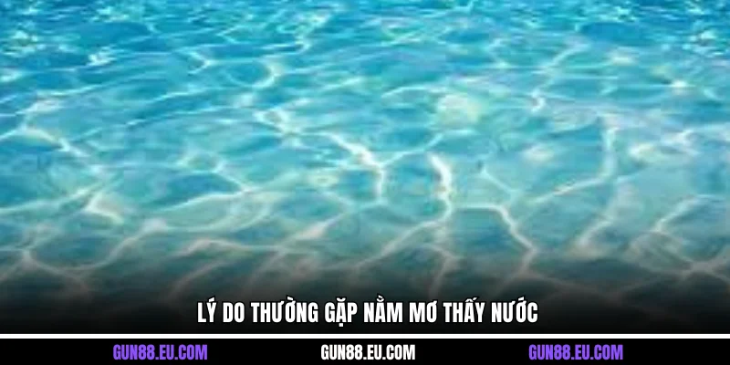 Lý do thường gặp nằm mơ thấy nước