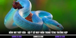 nằm mơ thấy rắn