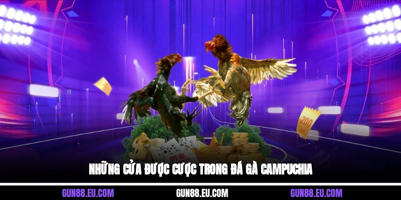Những cửa được cược trong đá gà campuchia