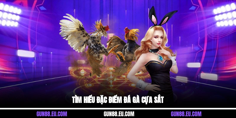 Tìm hiểu đặc điểm đá gà cựa sắt